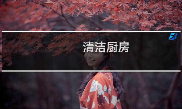 清洁厨房 - 清洁厨房2
