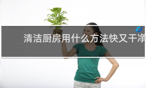 清洁厨房用什么方法快又干净 - 擦厨房妙招又快又干净