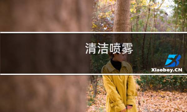 清洁喷雾 - 清洁喷雾仪