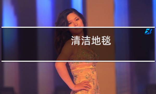 清洁地毯 - 房间地毯如何清洁