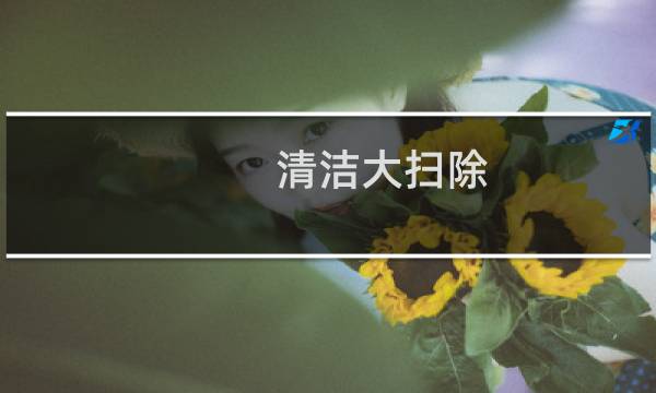 清洁大扫除 - 清洁卫生大扫除