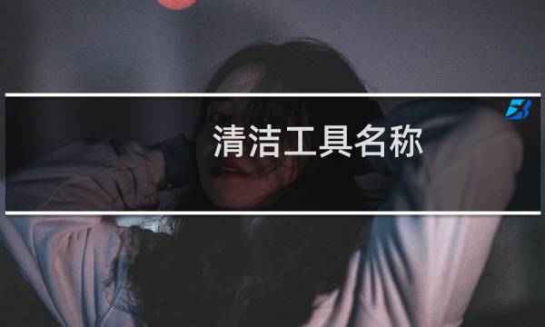 清洁工具名称 - 厕所清洁用品大全明细表