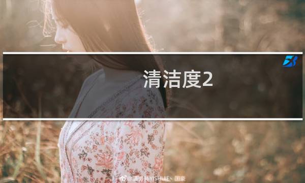 清洁度2 - 清洁度四度