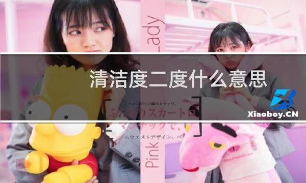 清洁度二度什么意思 - 白带清洁度什么意思