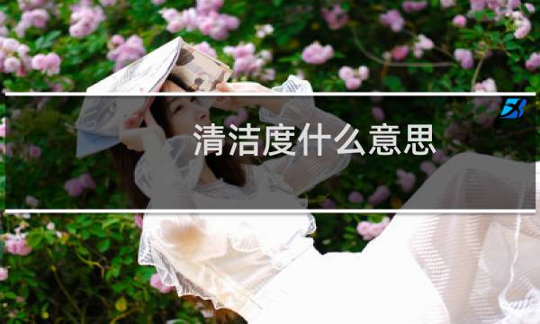 清洁度什么意思 - 清洁度三度是什么情况