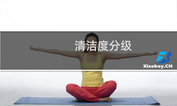 清洁度分级 - 环境清洁度分级