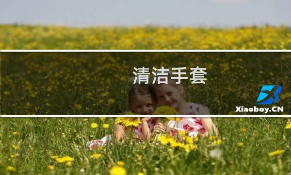 清洁手套 - 医用手套