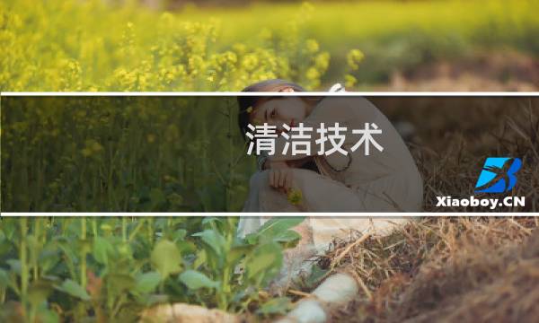 清洁技术 - 清洁技术研发