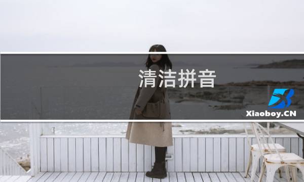 清洁拼音 - 专家的拼音