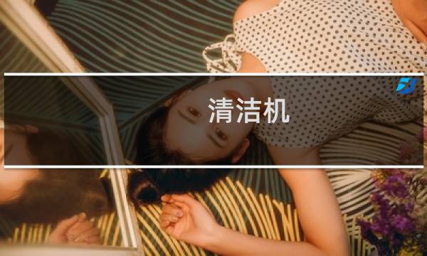 清洁机 - 洗清洁机