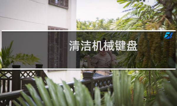清洁机械键盘 - 机械键盘开轴洗轴