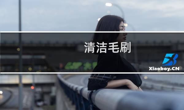 清洁毛刷 - 去毛刷怎么清理
