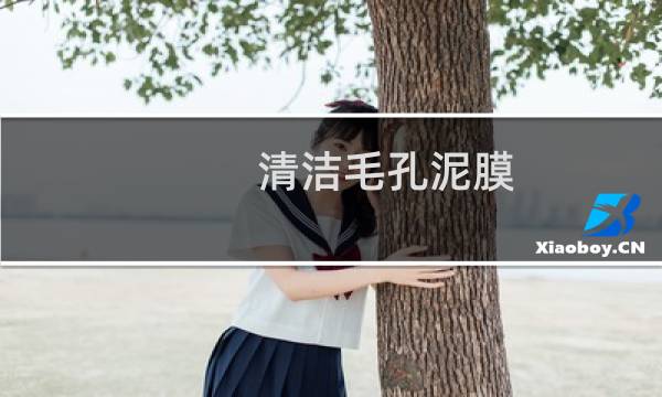 清洁毛孔泥膜 - FNP清洁泥膜好用吗