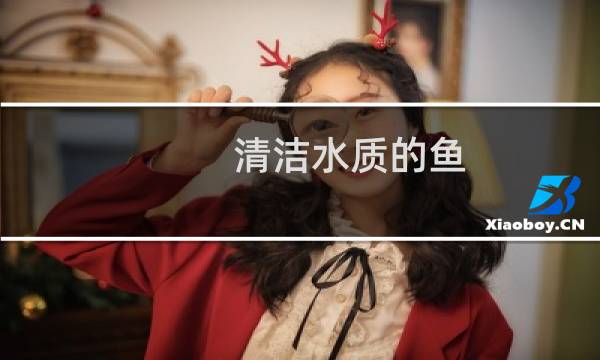 清洁水质的鱼 - 净化水库水质的鱼有哪几种