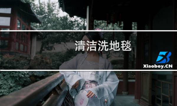 清洁洗地毯 - 自己可以清洗地毯吗