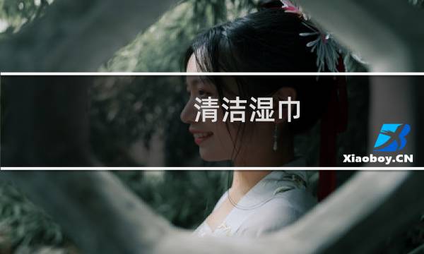 清洁湿巾 - 女士清洁湿巾