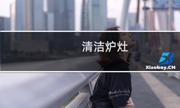 清洁炉灶 - 清洁炉灶合影