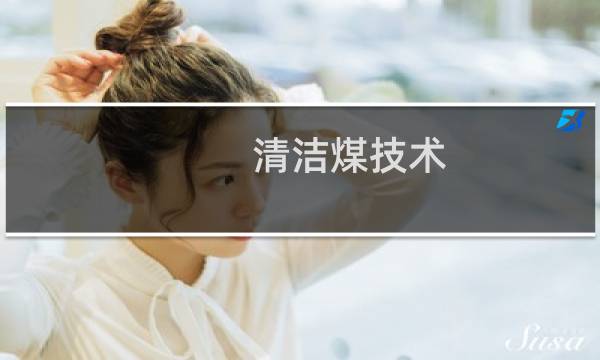 清洁煤技术 - 煤的清洁利用技术不包括