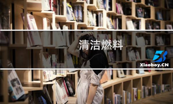 清洁燃料 - 常见的清洁燃料