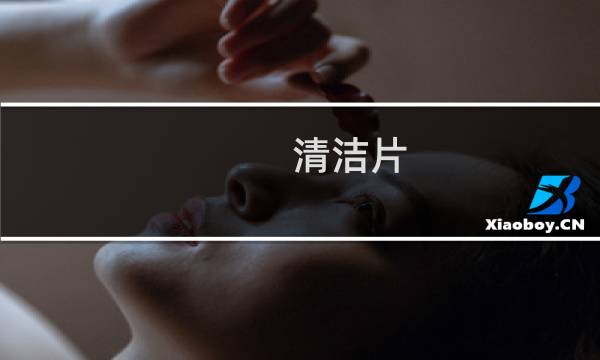 清洁片 - 多效地板清洁片使用方法