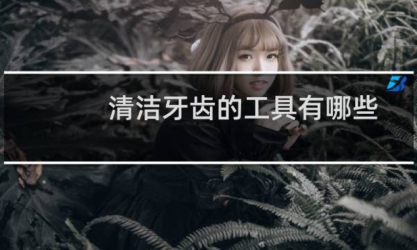 清洁牙齿的工具有哪些 - 自己买个牙结石去除器