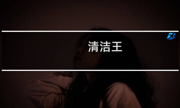 清洁王 - 大洁王有危险性吗
