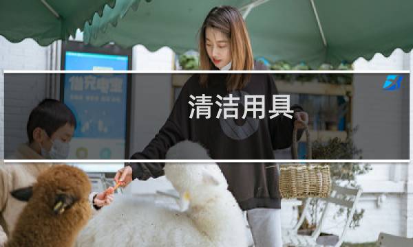 清洁用具 - 各种各样的清洁工具图片