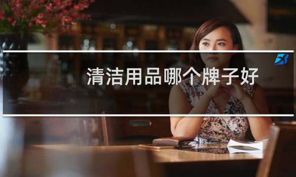 清洁用品哪个牌子好 - 全球十大清洁设备品牌排行榜