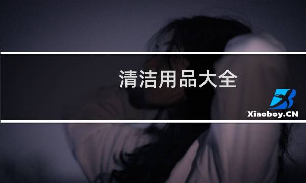 清洁用品大全 - 常用清洁用品