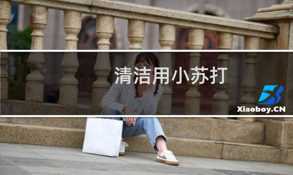 清洁用小苏打 - 小苏打可以擦拭家具吗