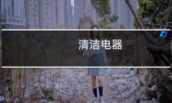 清洁电器 - 清洁电器有哪些