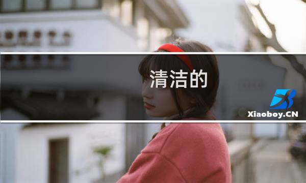 清洁的 - 清洁的什么