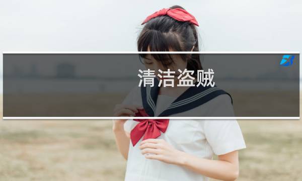 清洁盗贼 - 清洁盗贼成员那个女的