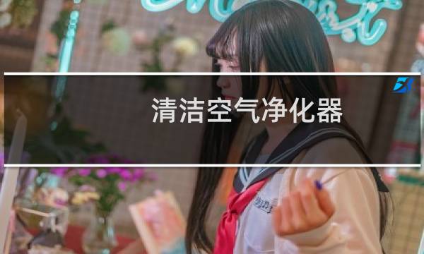 清洁空气净化器 - 空气净化器f0如何清理