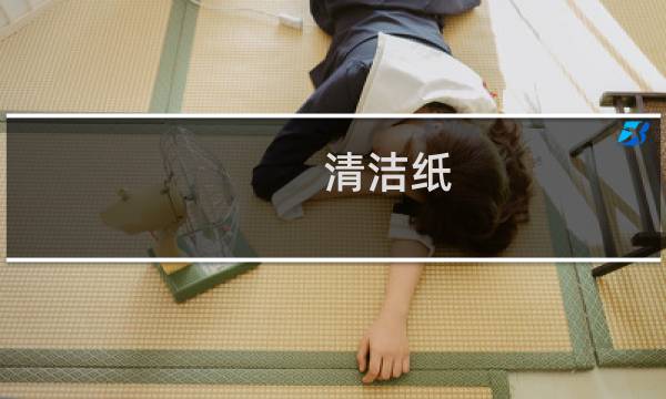 清洁纸 - 更换清洁纸