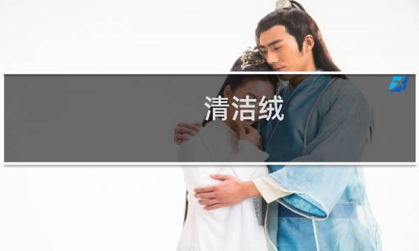 清洁绒 - 清洁绒是什么意思