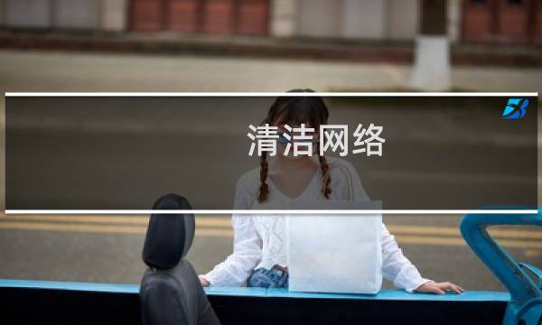 清洁网络 - “清洁网络”计划