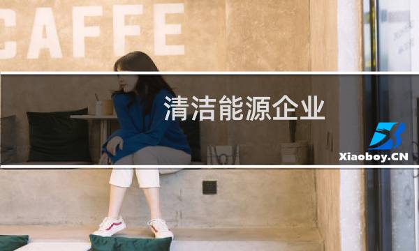清洁能源企业 - 中国十大清洁能源公司
