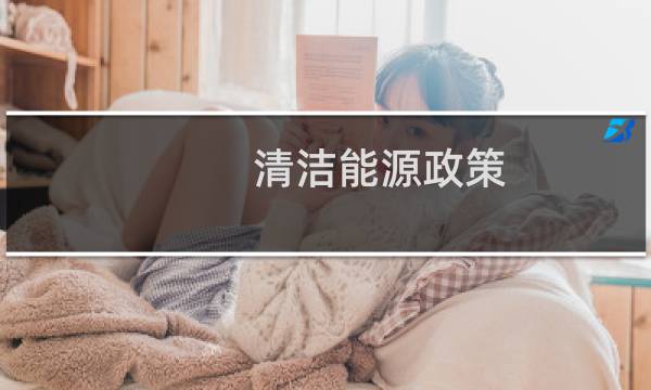 清洁能源政策 - 清洁能源财政政策