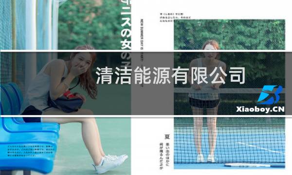 清洁能源有限公司 - 清洁能源上市公司有哪些