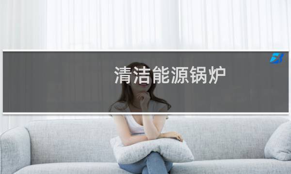 清洁能源锅炉 - 清洁能源取暖炉多少钱