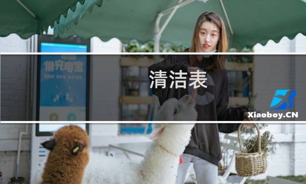 清洁表 - 日常清洁记录表格