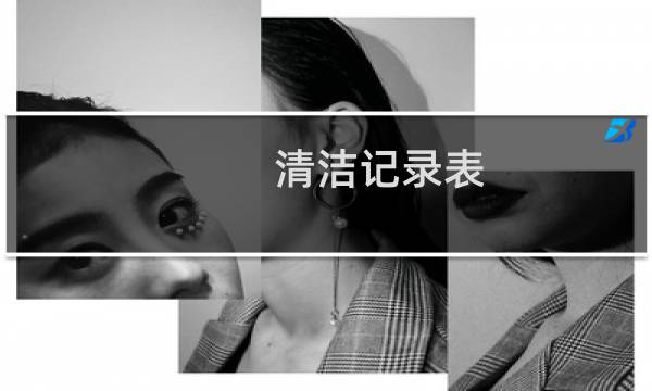 清洁记录表 - 打扫清洁记录表