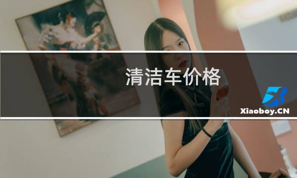 清洁车价格 - 清扫车刷子价格