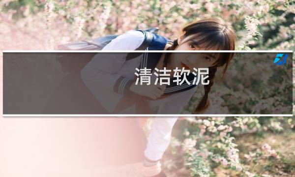 清洁软泥 - 如何制作清洁泥