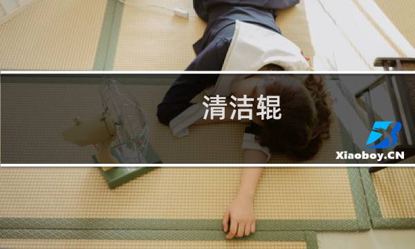 清洁辊 - 洗辊