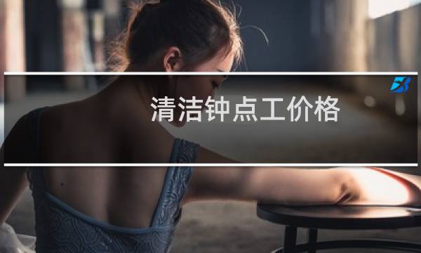 清洁钟点工价格 - 钟点工做饭阿姨多少钱一小时