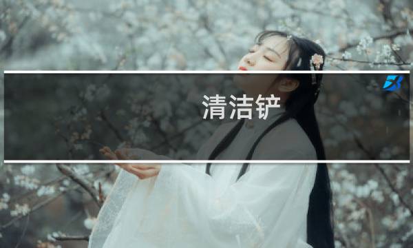 清洁铲 - 铲粪神器