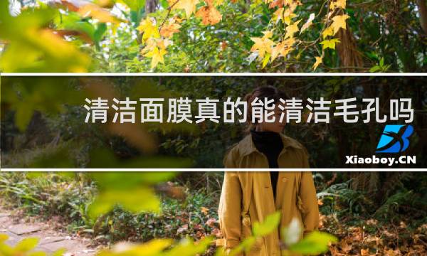 清洁面膜真的能清洁毛孔吗 - 清洁面膜可以去毛孔垃圾吗