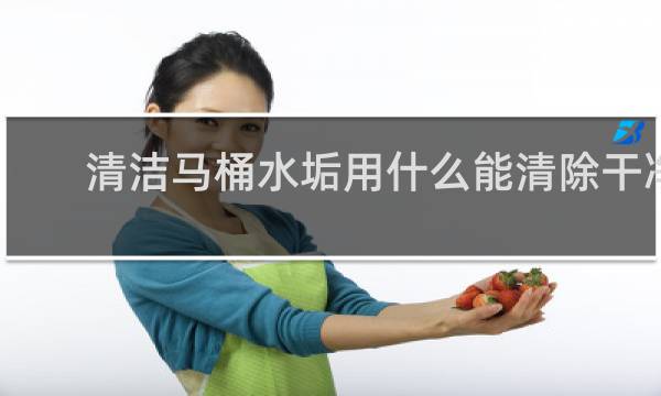 清洁马桶水垢用什么能清除干净 - 老式蹲便下水道壁上屎垢